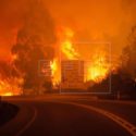  Portogallo: devastante incendio intorno a Pedrogao, almeno 43 vittime
