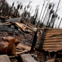  Birmania : oltre 40 villaggi  Rohingya bruciati tra ottobre e novembre