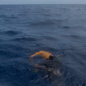  Affonda gommone al largo della Libia, si salvano solo in 16, decine di dispersi