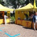  Catanzaro: 88esima festa dell’uva con Coldiretti e campagna amica