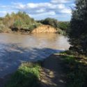  Coldiretti: gravissima la situazione  a Corigliano Calabro (CS) in località “Ministalla” dopo la rottura degli argini del fiume Crati
