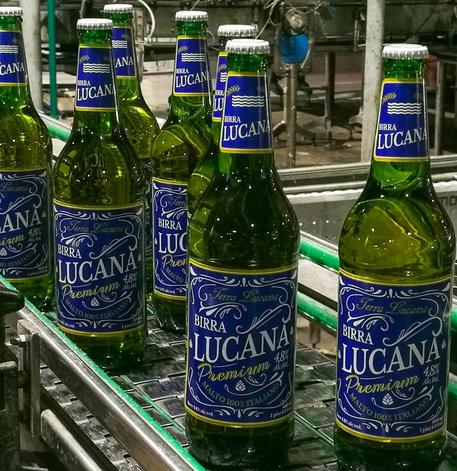 In Basilicata nasce la birra "Lucana", una premium di alta qualità