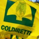  Il TAR Calabria boccia la Regione sospendendo due provvedimenti riguardanti i Consorzi di Bonifica di Cosenza ed ex Caulonia