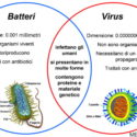  La differenza tra “Virus” e “Batteri”