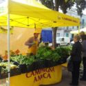  Coldiretti Calabria: incremento dei prezzi al consumo per frutta (+8%) e latte (+5%) ma i prezzi alla produzione sono negativi