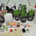  Cava de’ Tirreni: usa una villetta disabitata per coltivare piante di marijuana, arrestato dalla Polizia