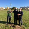  Lecce: “Giornata dell’albero”, in città saranno piantati  100 nuovi alberi