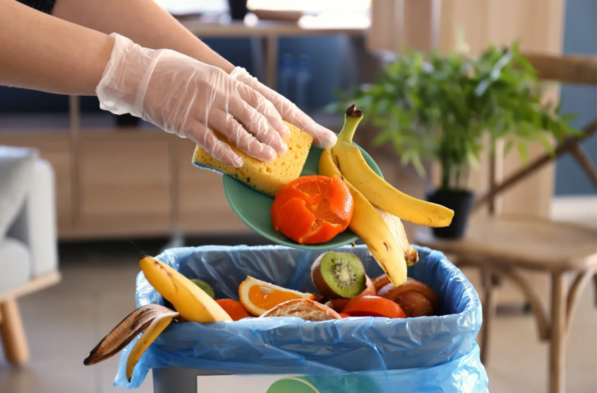  La lotta  agli sprechi alimentari e farmaceutici entra nelle scuole con il progetto Bari Social Food