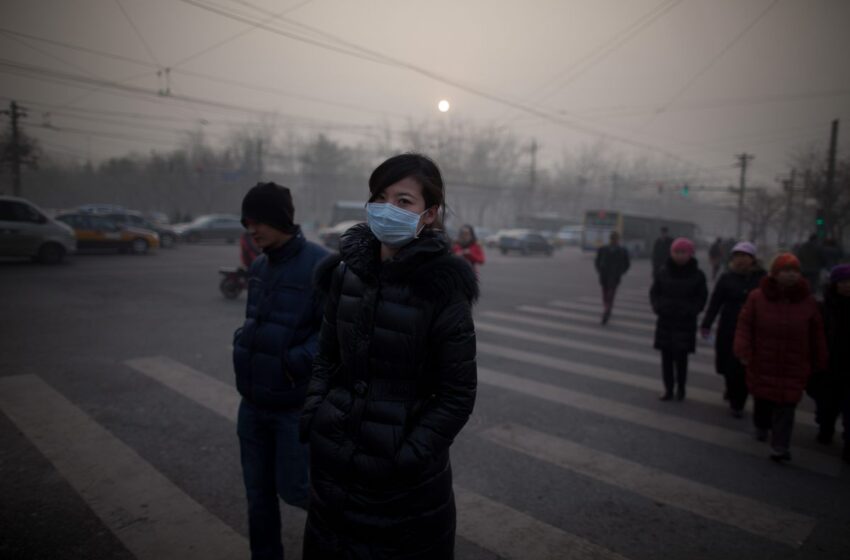  Inquinamento: nel 2019 la Cina ha emesso più emissioni dell’UE e dell’OSCE messe insieme