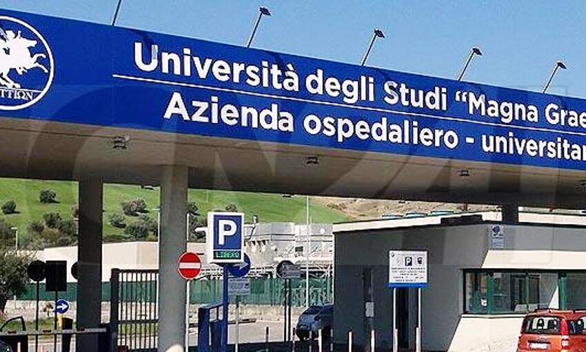 Medicina a Cosenza, le associazioni catanzaresi si oppongono: "è una scelta sbagliata, occorre puntare sulla qualità e non duplicare i corsi di laurea"